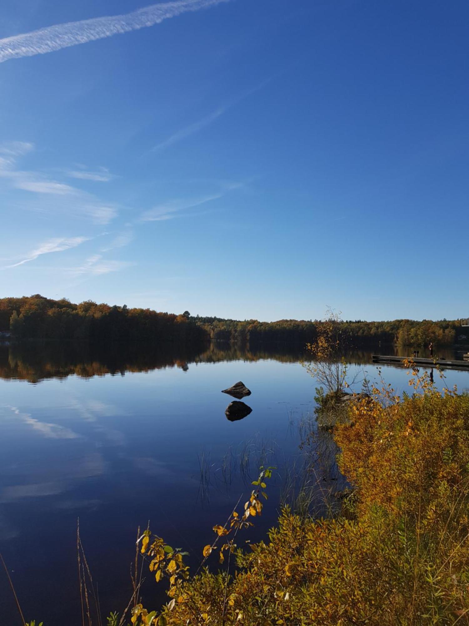 Halens Camping Och Stugby Olofström Exteriér fotografie